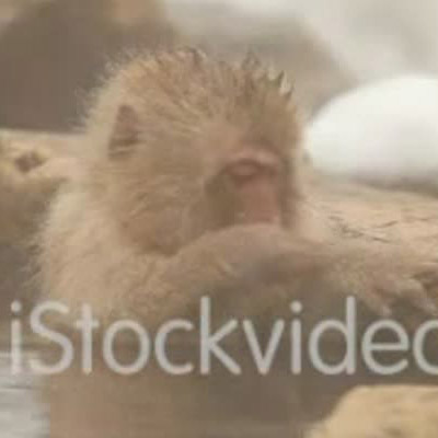あったか動画